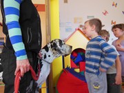 Bezpečný pes - kynologie